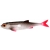 PRZYNĘTA - FLAT FISH 7cm/ROACH - op.7szt.